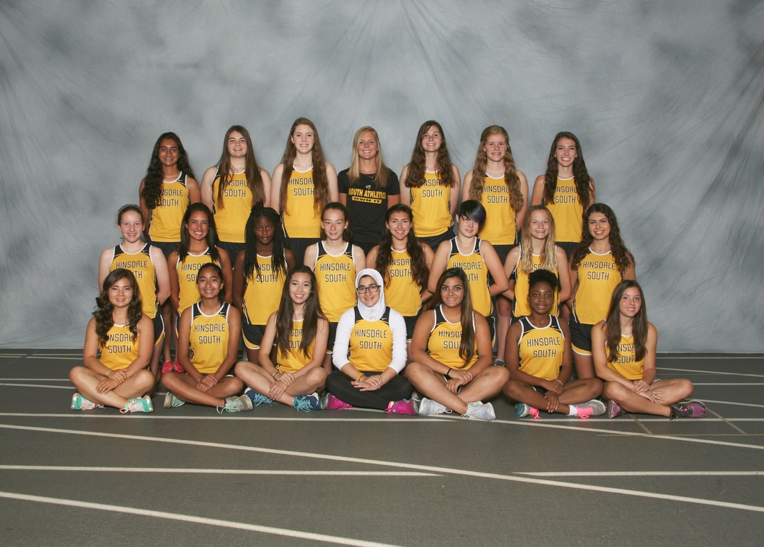 2015 Hinsdale South Girls Cross Country Team