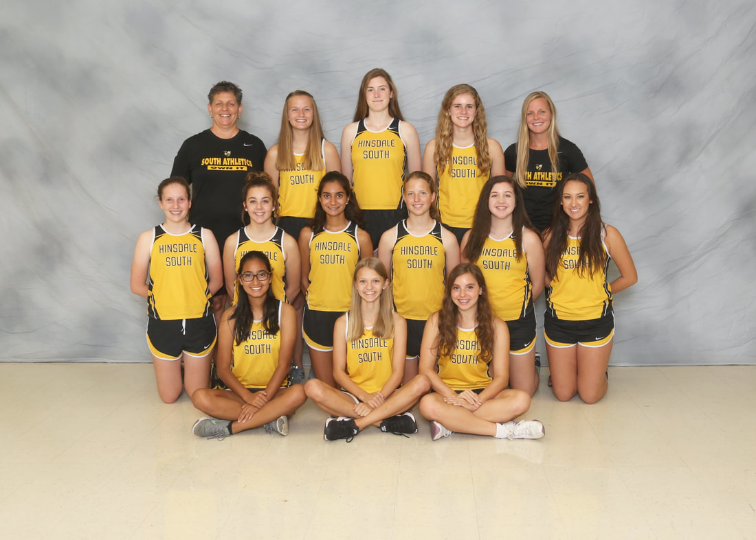 2017 Hinsdale South Girls Cross Country Team